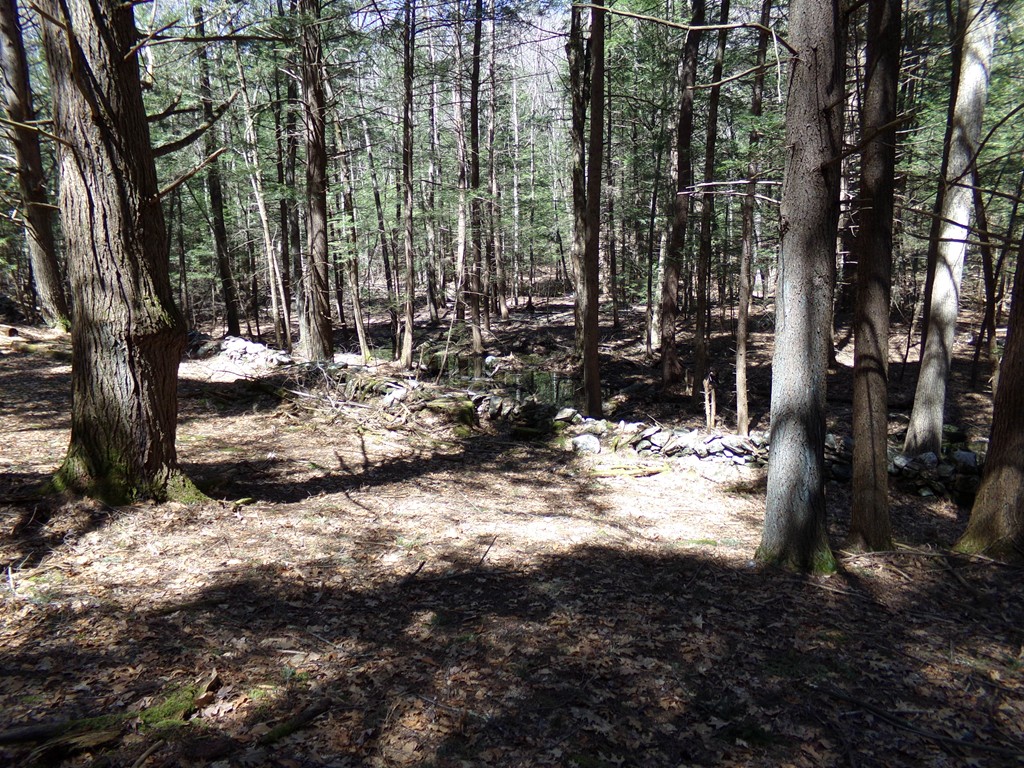 Lot 3 Cave Hill Road Leverett, MA 01054 - Photo 6 of 10 Gallery Image 6