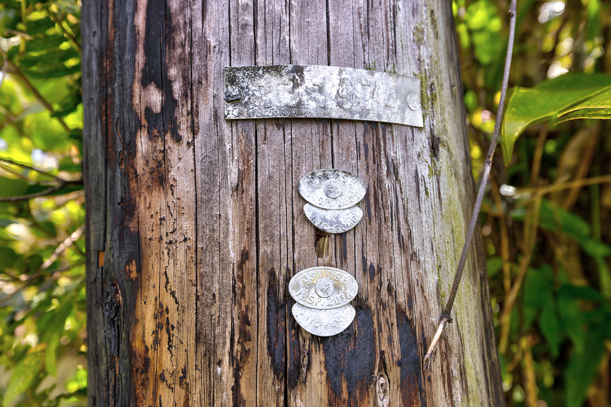 1033 Oahu Road Pahoa, HI 96778 - Photo 2 of 6 Gallery Image 2
