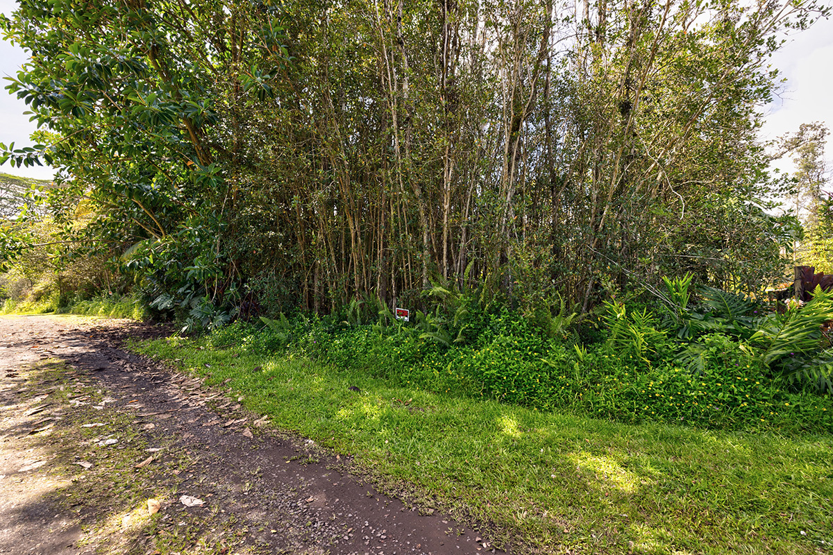 1033 Oahu Road Pahoa, HI 96778 - Photo 3 of 6 Gallery Image 3
