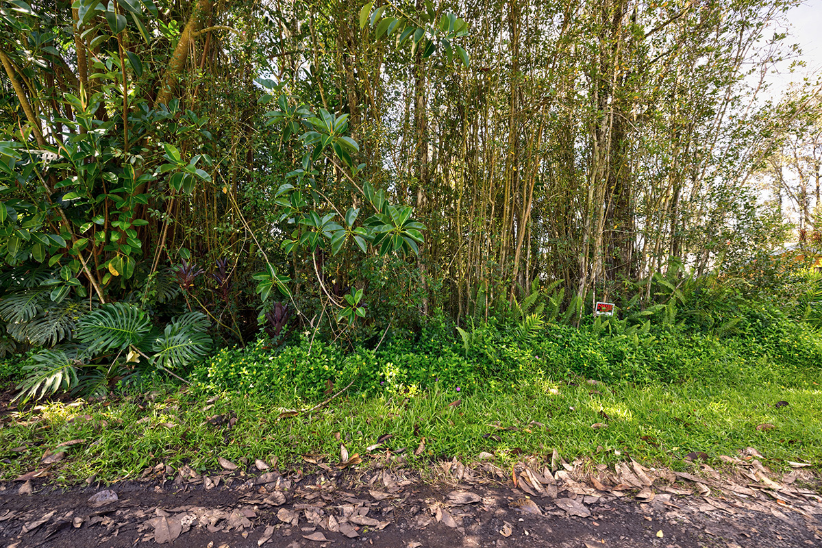 1033 Oahu Road Pahoa, HI 96778 - Photo 4 of 6 Gallery Image 4