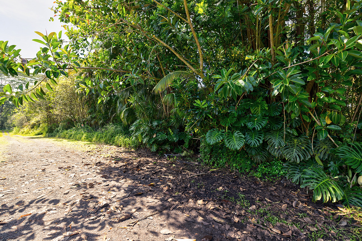 1033 Oahu Road Pahoa, HI 96778 - Photo 5 of 6 Gallery Image 5