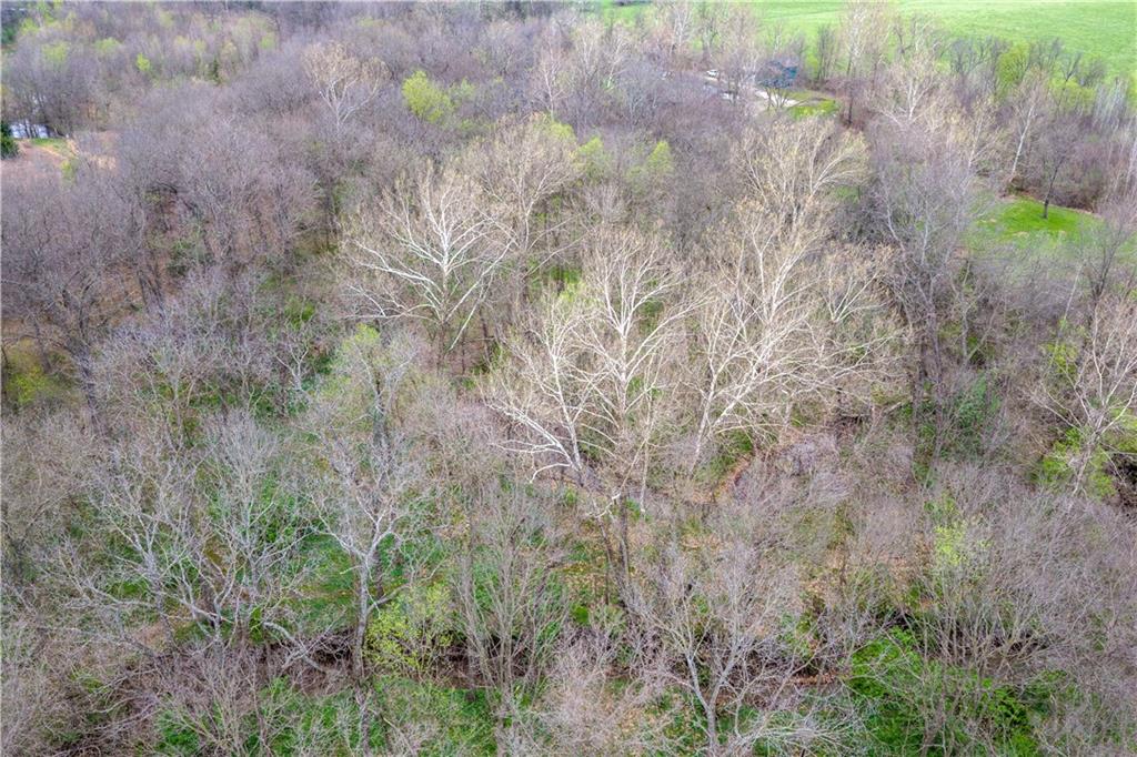 795 Northeast 101st Road Warrensburg, MO 64093 - Photo 6 of 10