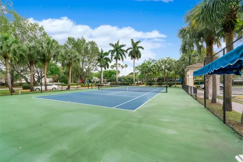 a view of outdoor space with palm trees