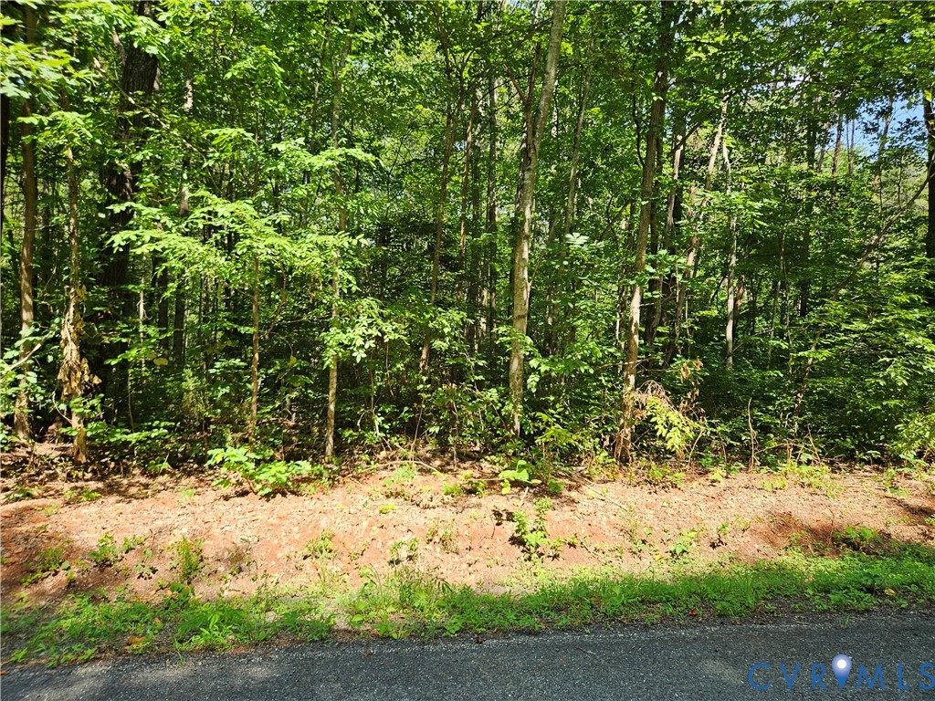 9-ac Childress Road Dillwyn, VA 23936 - Photo 6 of 8