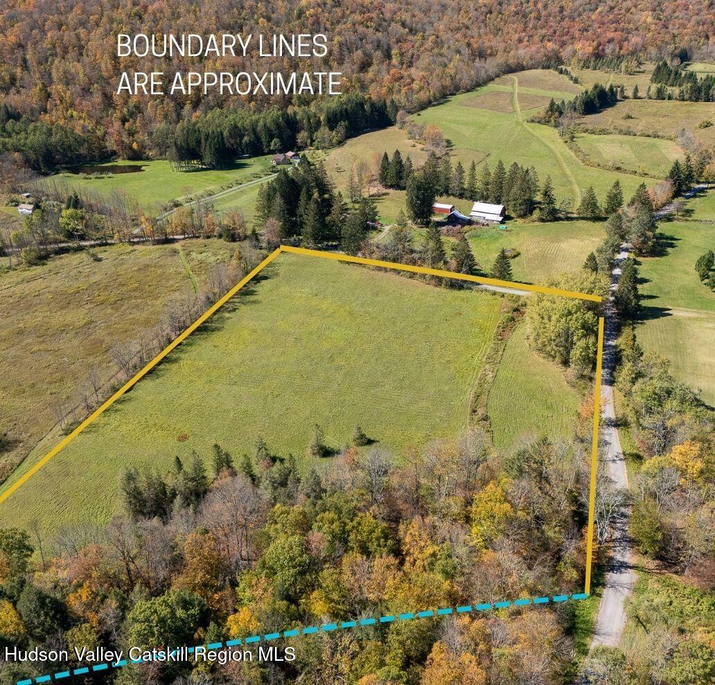 Tbd Upper Dingle Hill Road Andes, NY 13731 - Photo 3 of 44 Add text(1)