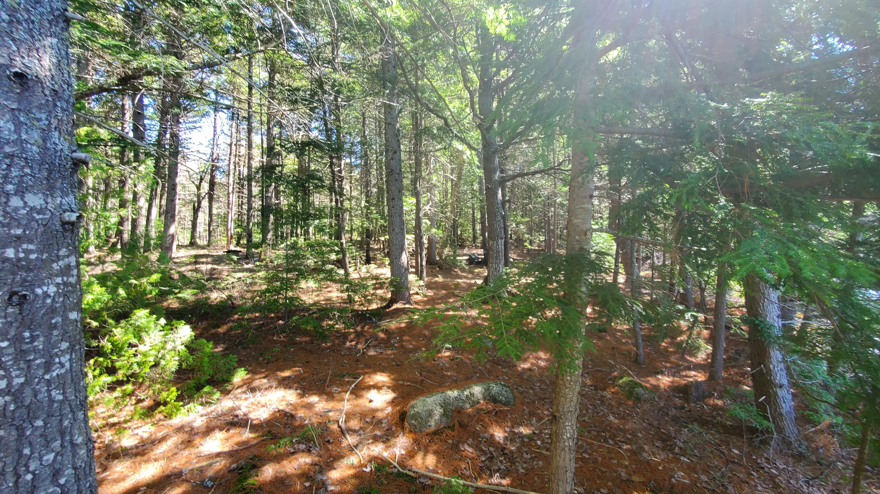 307 Lakeville Shores Road Lakeville, ME 04487 - Photo 18 of 39 20250430_113735