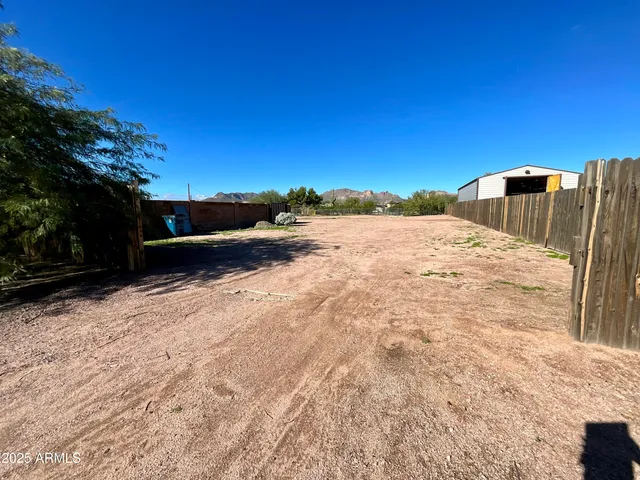 a view of a backyard with plants