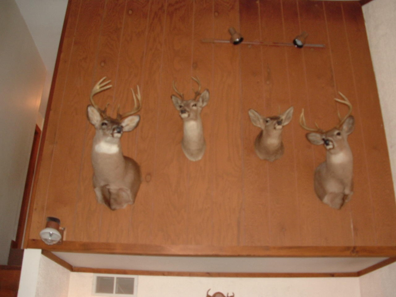 7290 James Road Irons, MI 49644 - Photo 7 of 22 DSCF0079