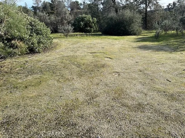 a view of a field with trees in the background