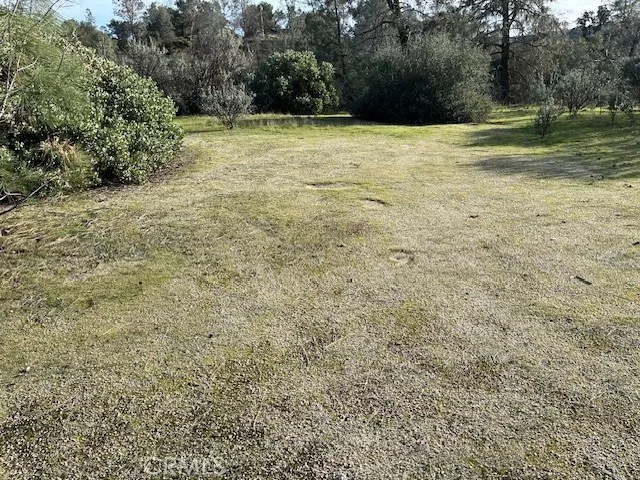 a view of a field with trees in the background
