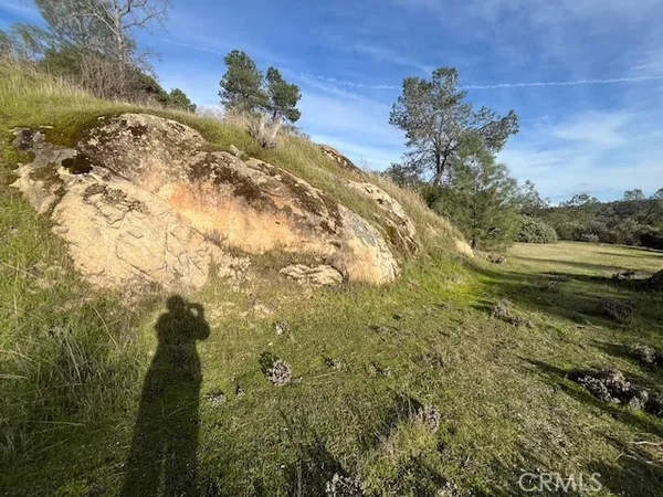 a view of a lake in the background