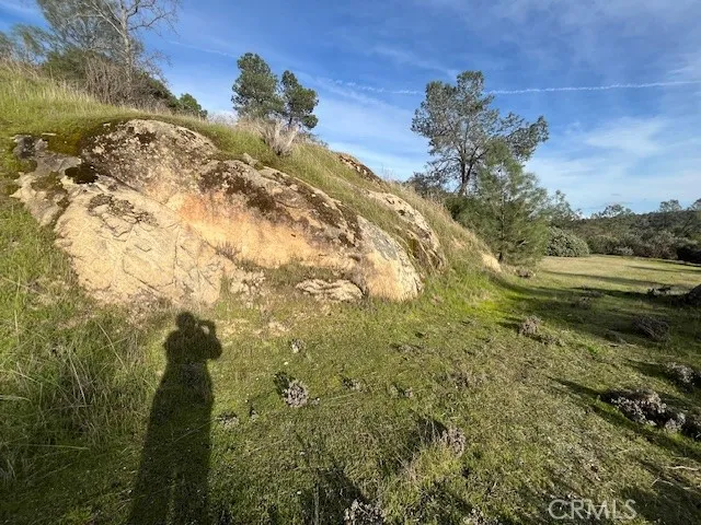 a view of a lake in the background