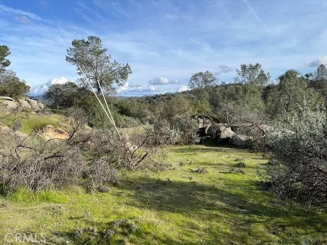 a view of a yard in a town