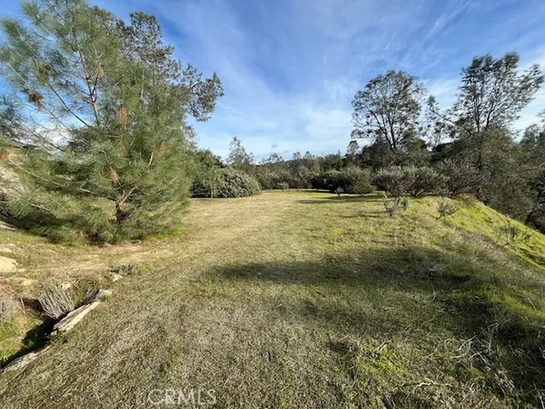 a view of an outdoor space and a yard