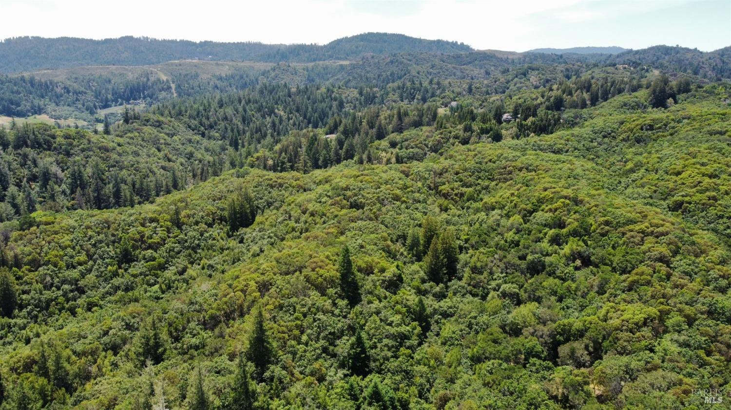 6445 Mountain View Ranch Road Healdsburg, CA 95448 - Photo 15 of 38