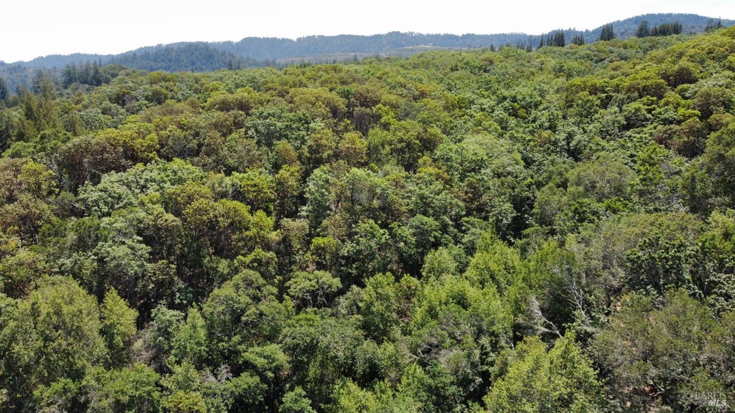 6445 Mountain View Ranch Road Healdsburg, CA 95448 - Photo 17 of 38