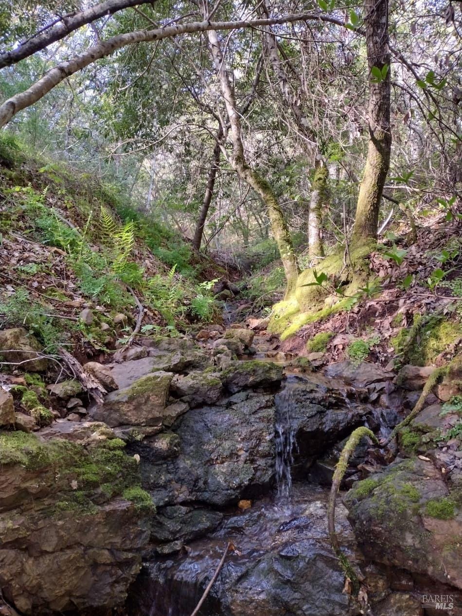 6445 Mountain View Ranch Road Healdsburg, CA 95448 - Photo 22 of 38