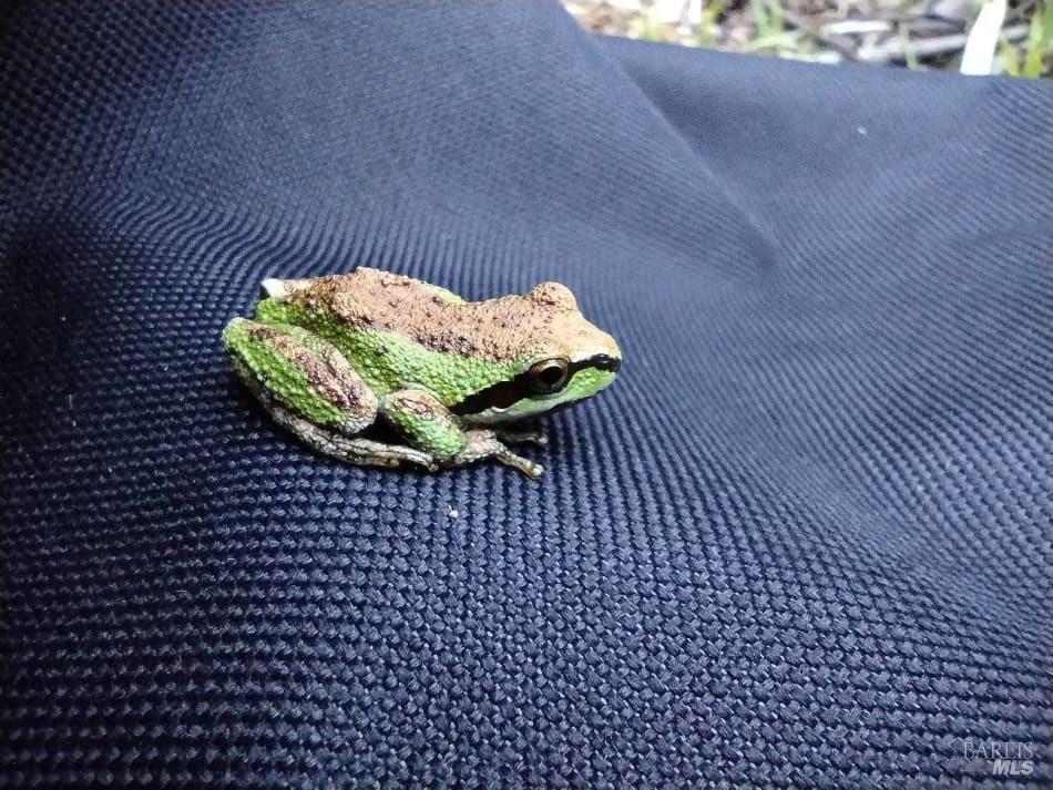 6445 Mountain View Ranch Road Healdsburg, CA 95448 - Photo 26 of 38