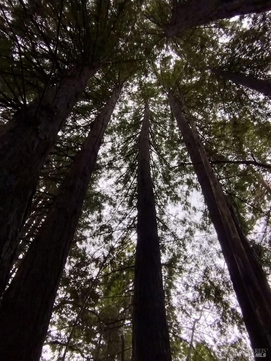 6445 Mountain View Ranch Road Healdsburg, CA 95448 - Photo 27 of 38