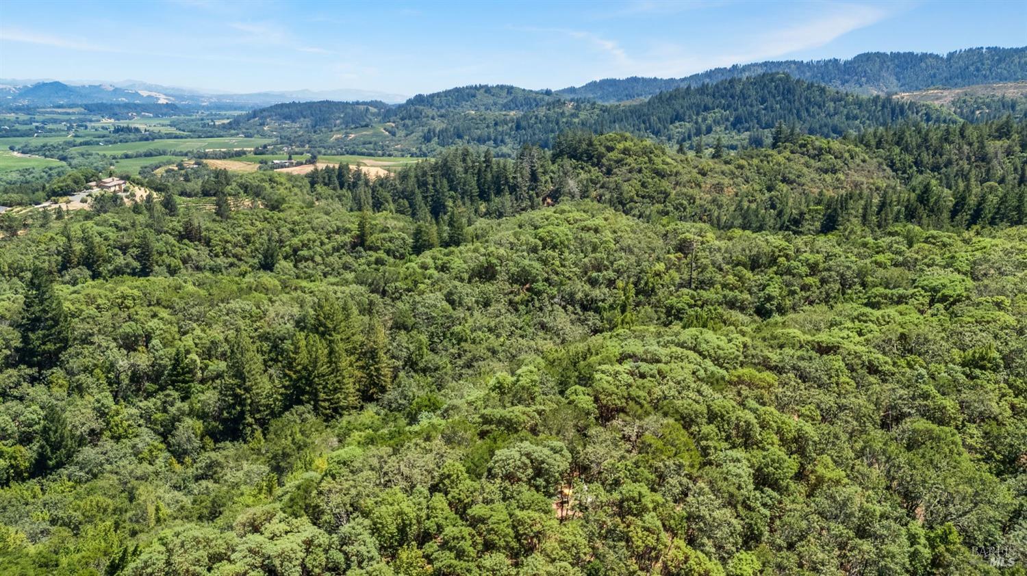 6445 Mountain View Ranch Road Healdsburg, CA 95448 - Photo 6 of 38