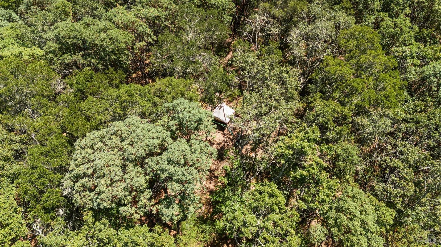 6445 Mountain View Ranch Road Healdsburg, CA 95448 - Photo 8 of 38