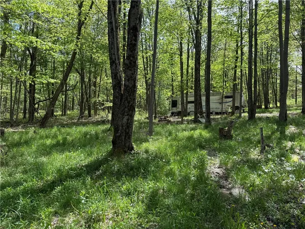 $34,900 | 16 Deer Pond Acres, Orangeville, NY 14569