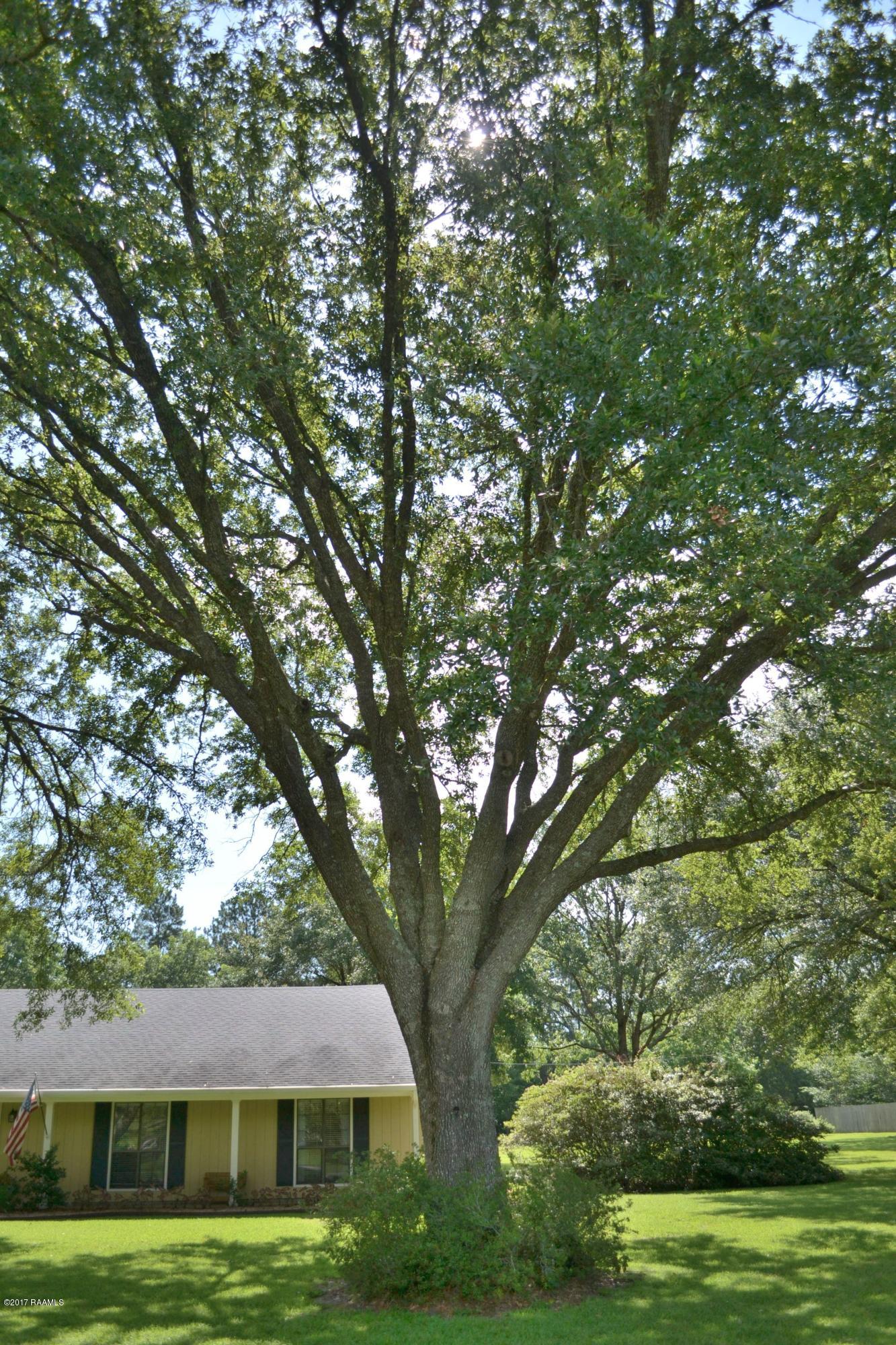 105 Dupre Road Lafayette, LA 70507 - Photo 8 of 43 DSC_0263