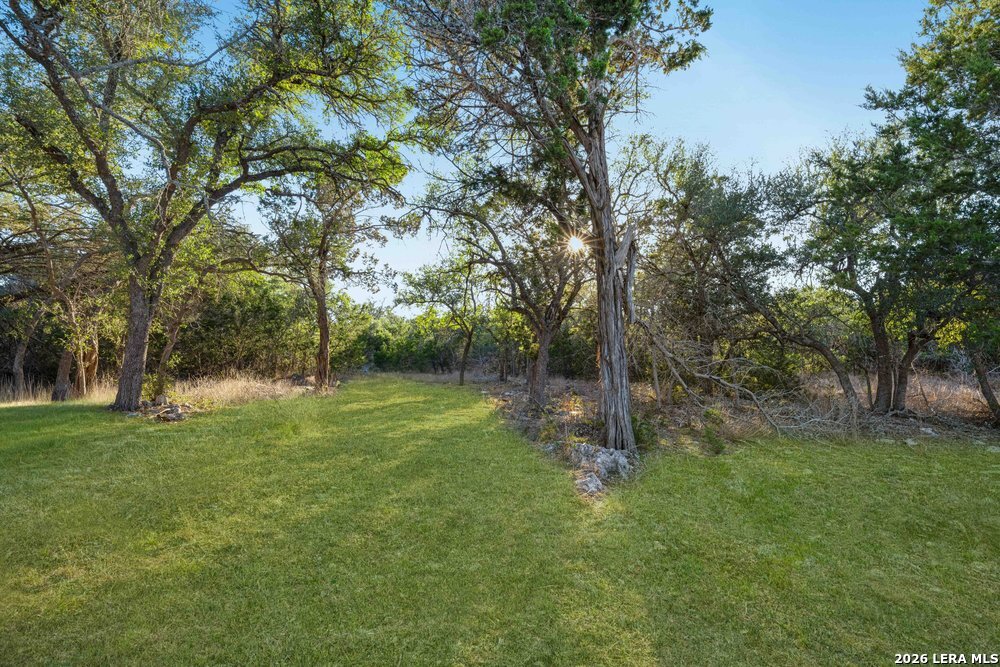 5387 Ranch Road Blanco, TX 78606 - Photo 5 of 7 a view of a field with a tree