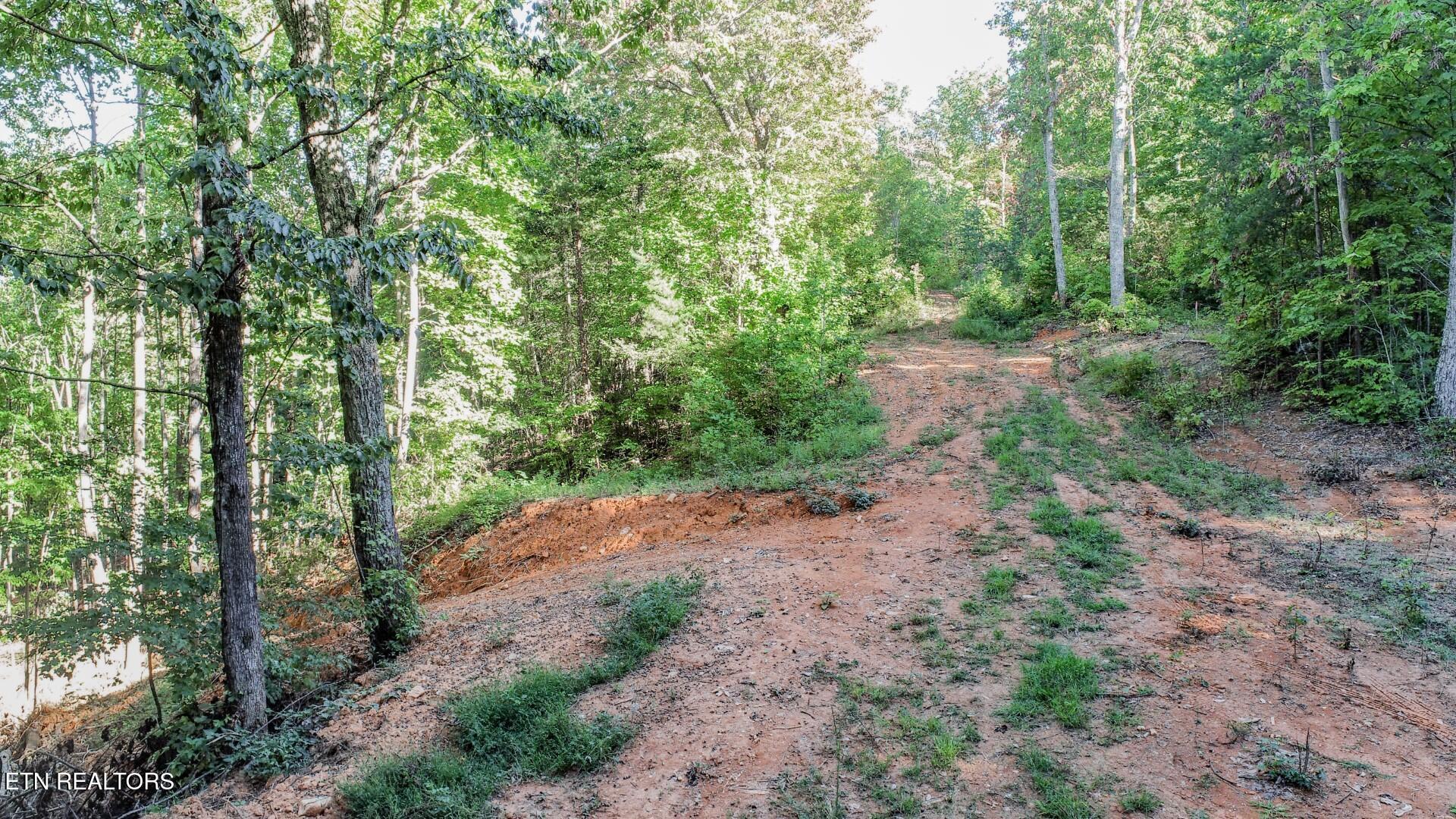 151 Delicious Way Newport, TN 37821 - Photo 11 of 14 10