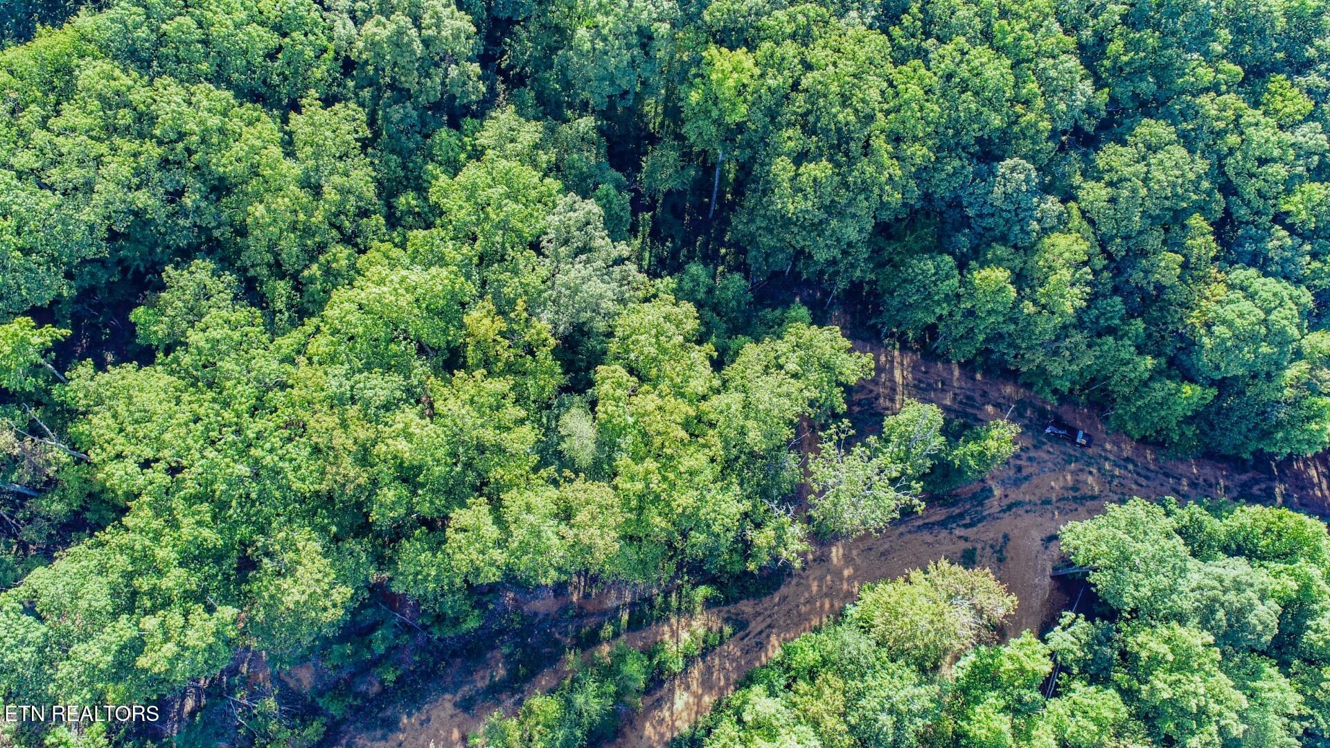 151 Delicious Way Newport, TN 37821 - Photo 2 of 14 2