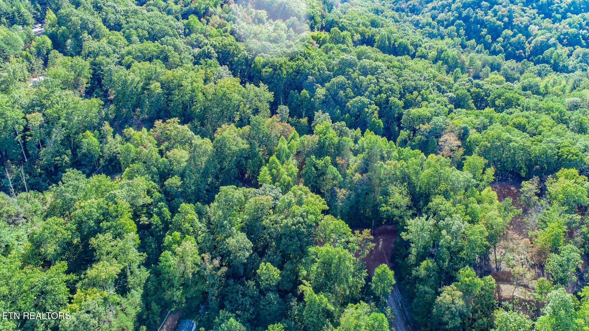 151 Delicious Way Newport, TN 37821 - Photo 5 of 14 4