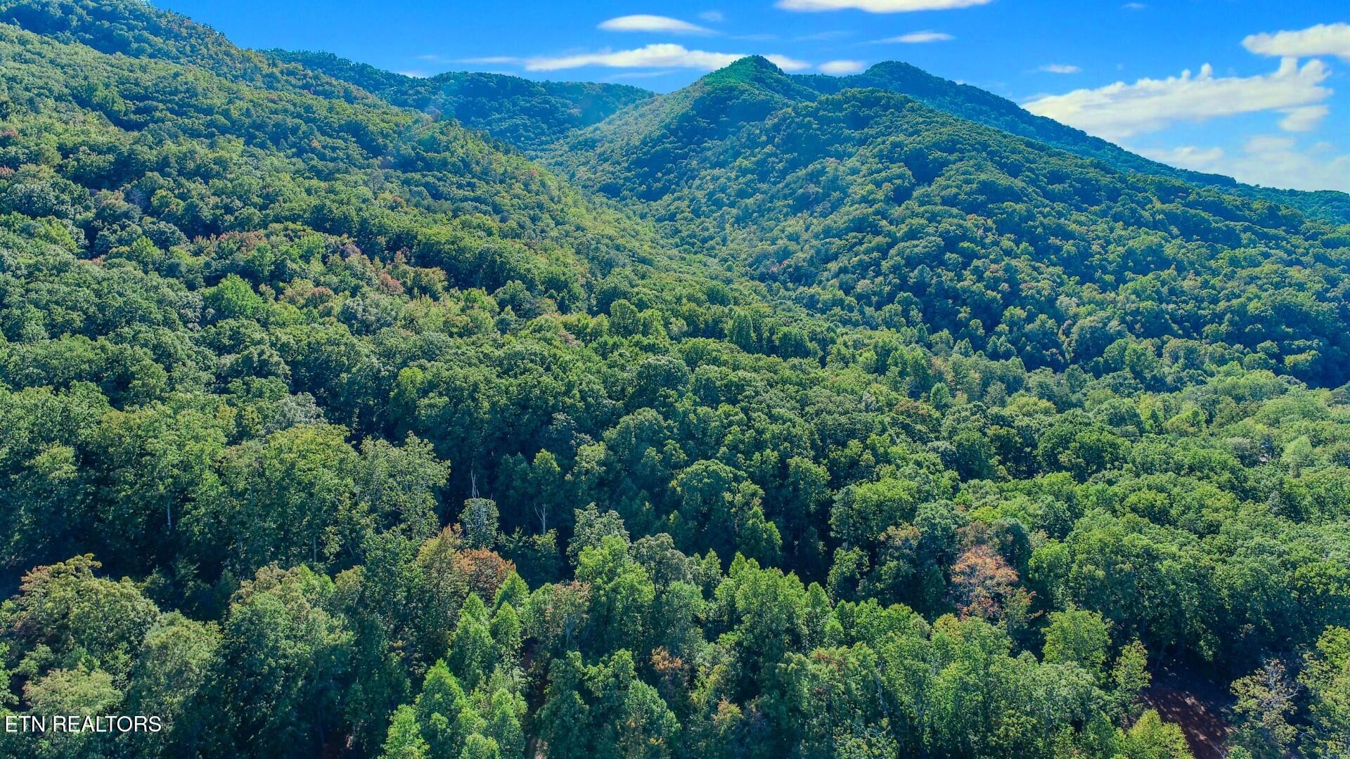 151 Delicious Way Newport, TN 37821 - Photo 7 of 14 6