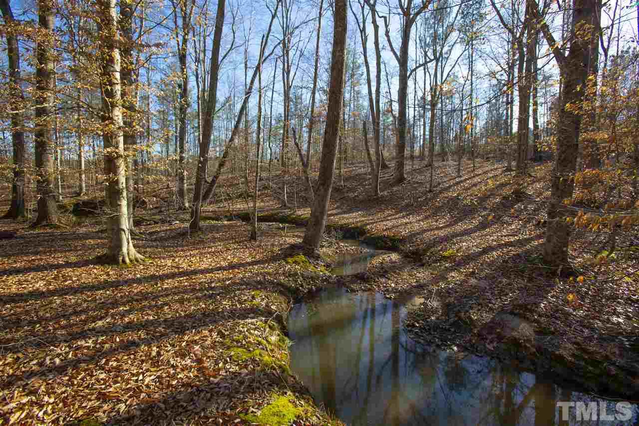 0 Burnside Road Oxford, NC 27565 - Photo 3 of 8