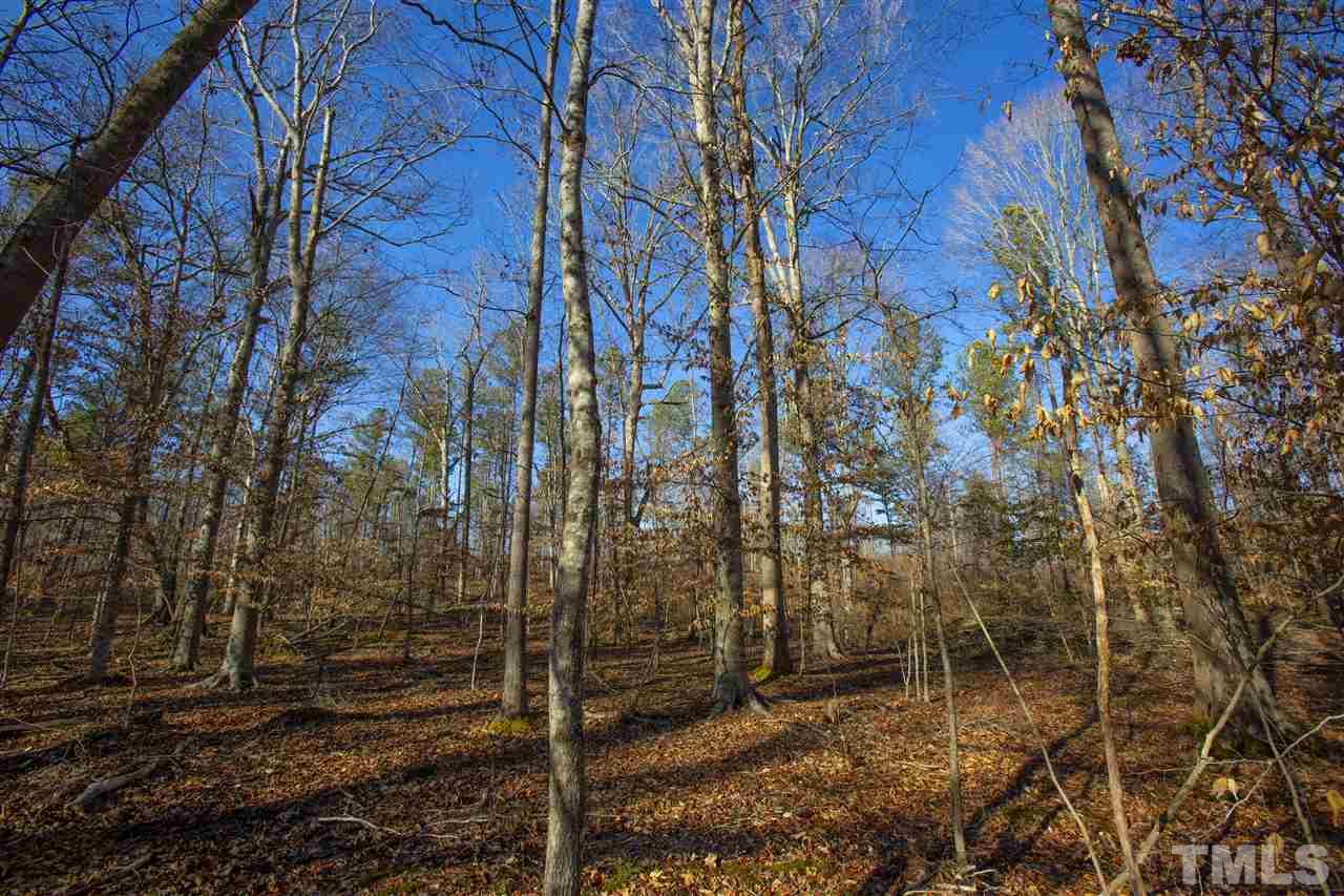 0 Burnside Road Oxford, NC 27565 - Photo 4 of 8