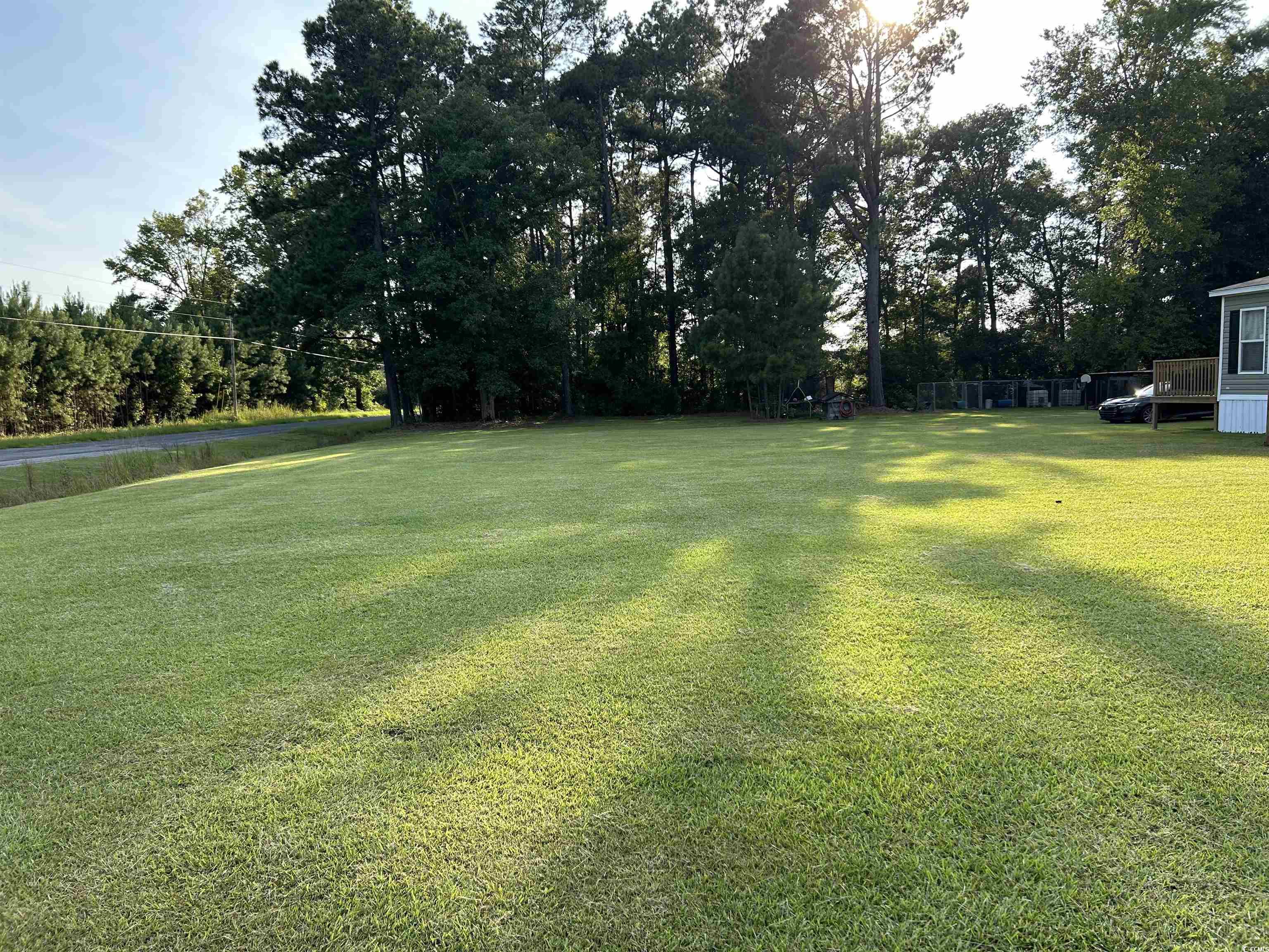 3688 Creek Road Lake City, SC 29560 - Photo 12 of 14 Gallery Image 12