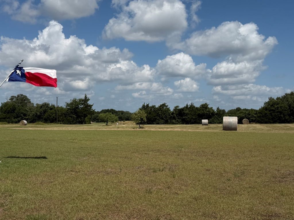 9414 Laird Road Round Top, TX 78954 - Photo 11 of 50 Hay in the front pasture, 4th of July weekend