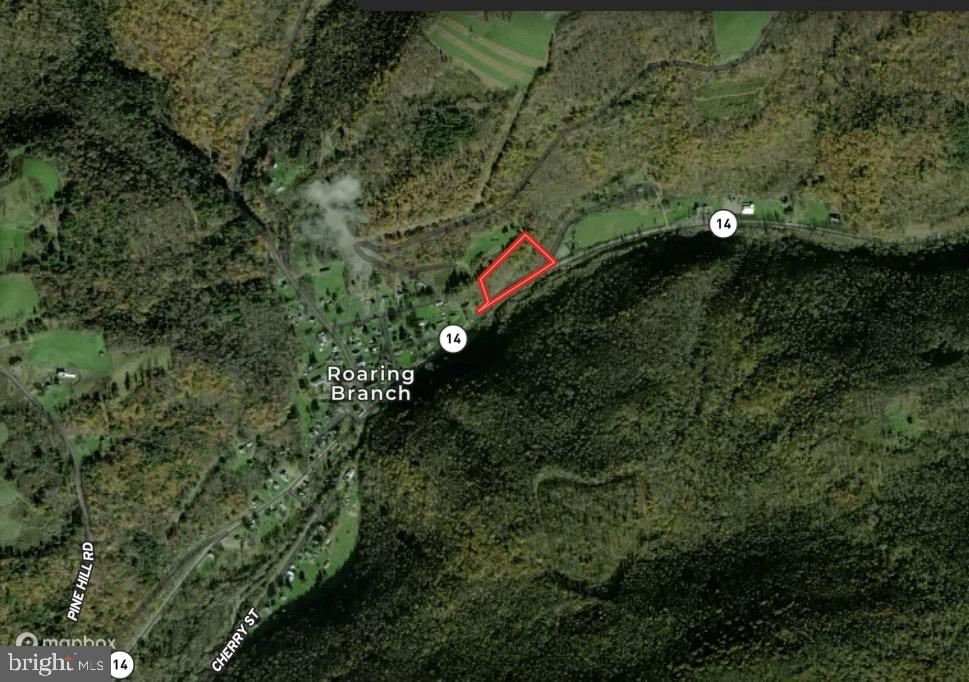 0 Peepaw Road Roaring Branch, PA 17765 - Photo 2 of 2