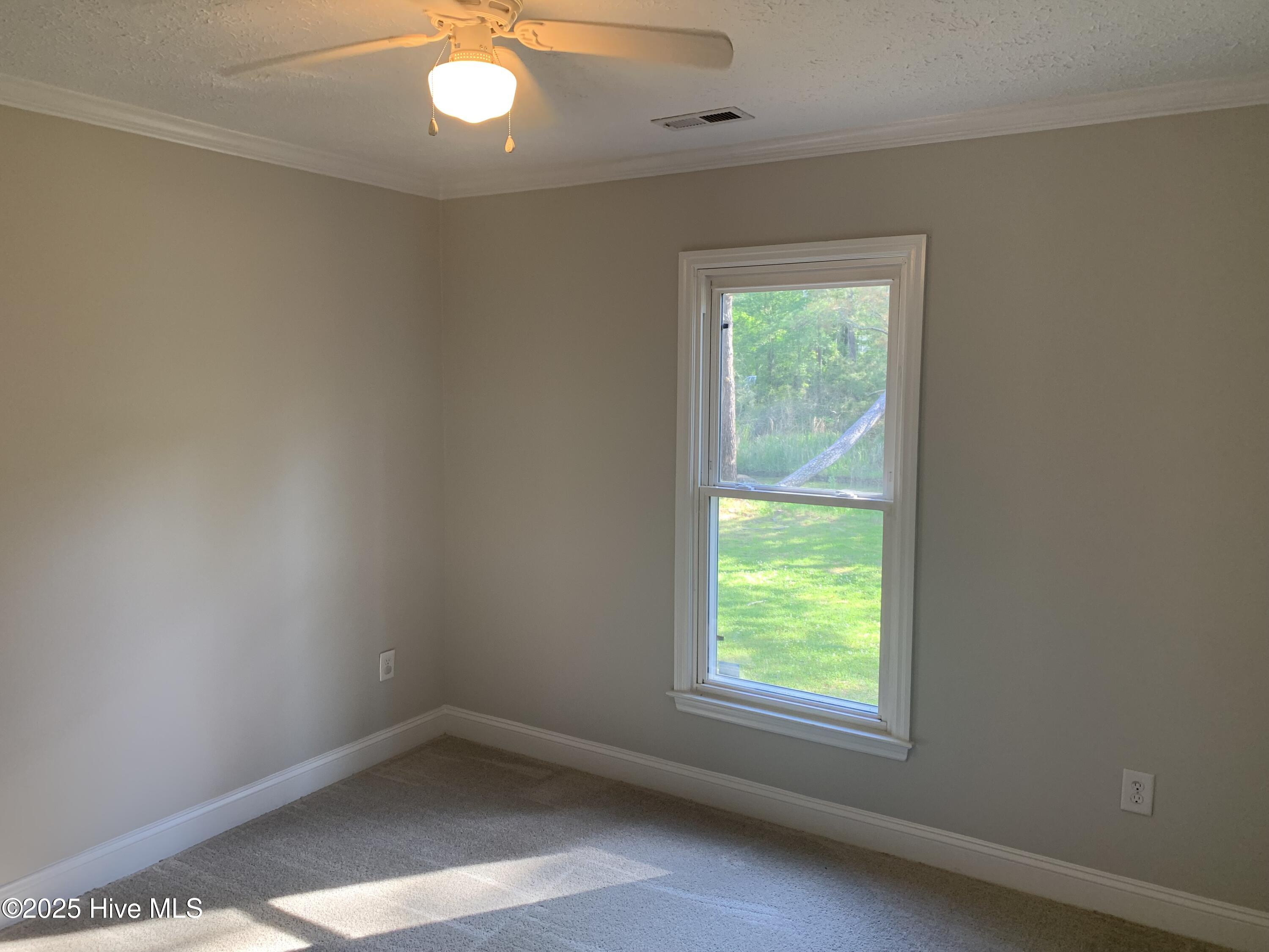 453 Alligator Loop Road Merritt, NC 28556 - Photo 12 of 18 Bed 1