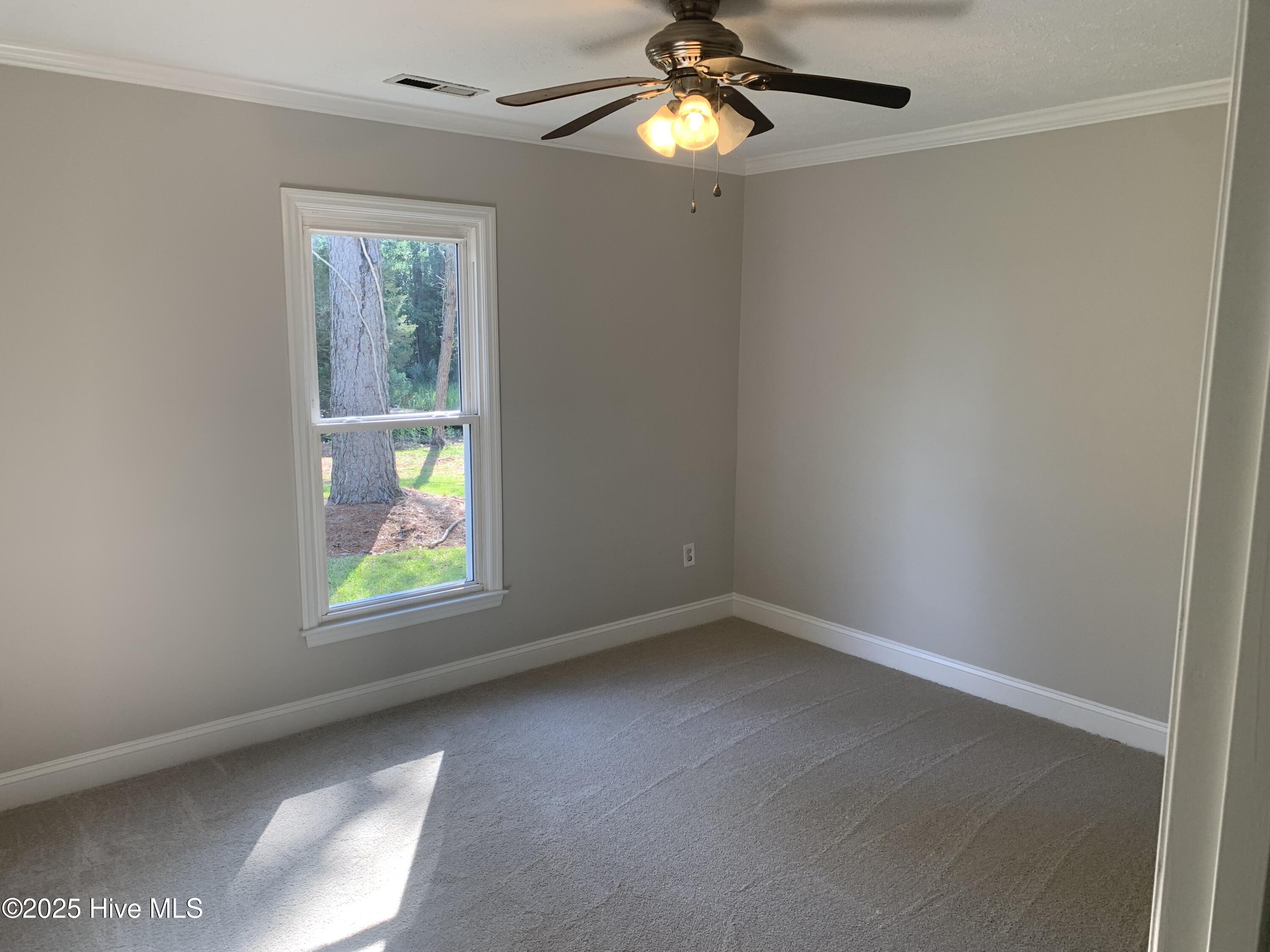 453 Alligator Loop Road Merritt, NC 28556 - Photo 14 of 18 Bed Additional