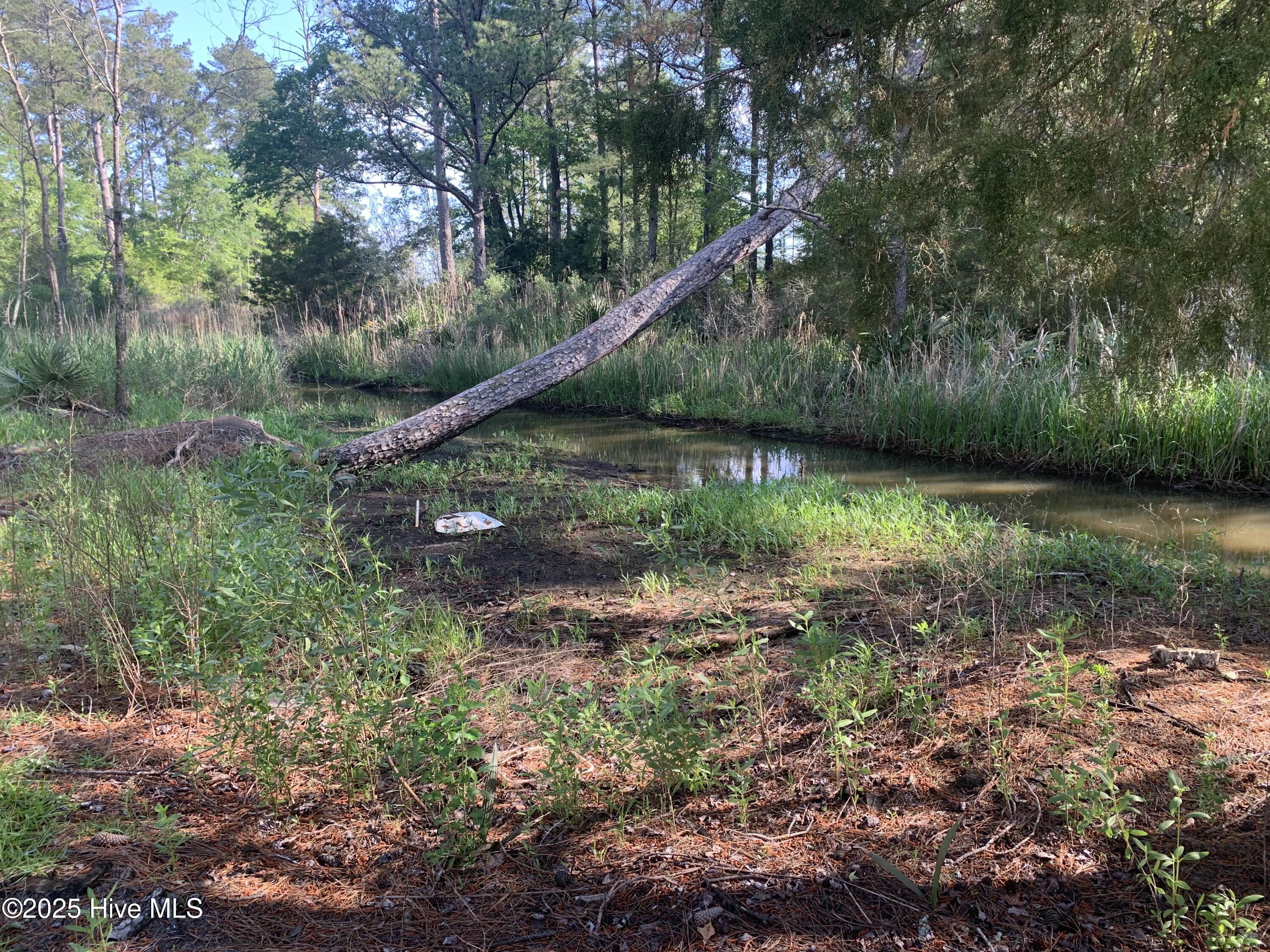 453 Alligator Loop Road Merritt, NC 28556 - Photo 18 of 18 Creek