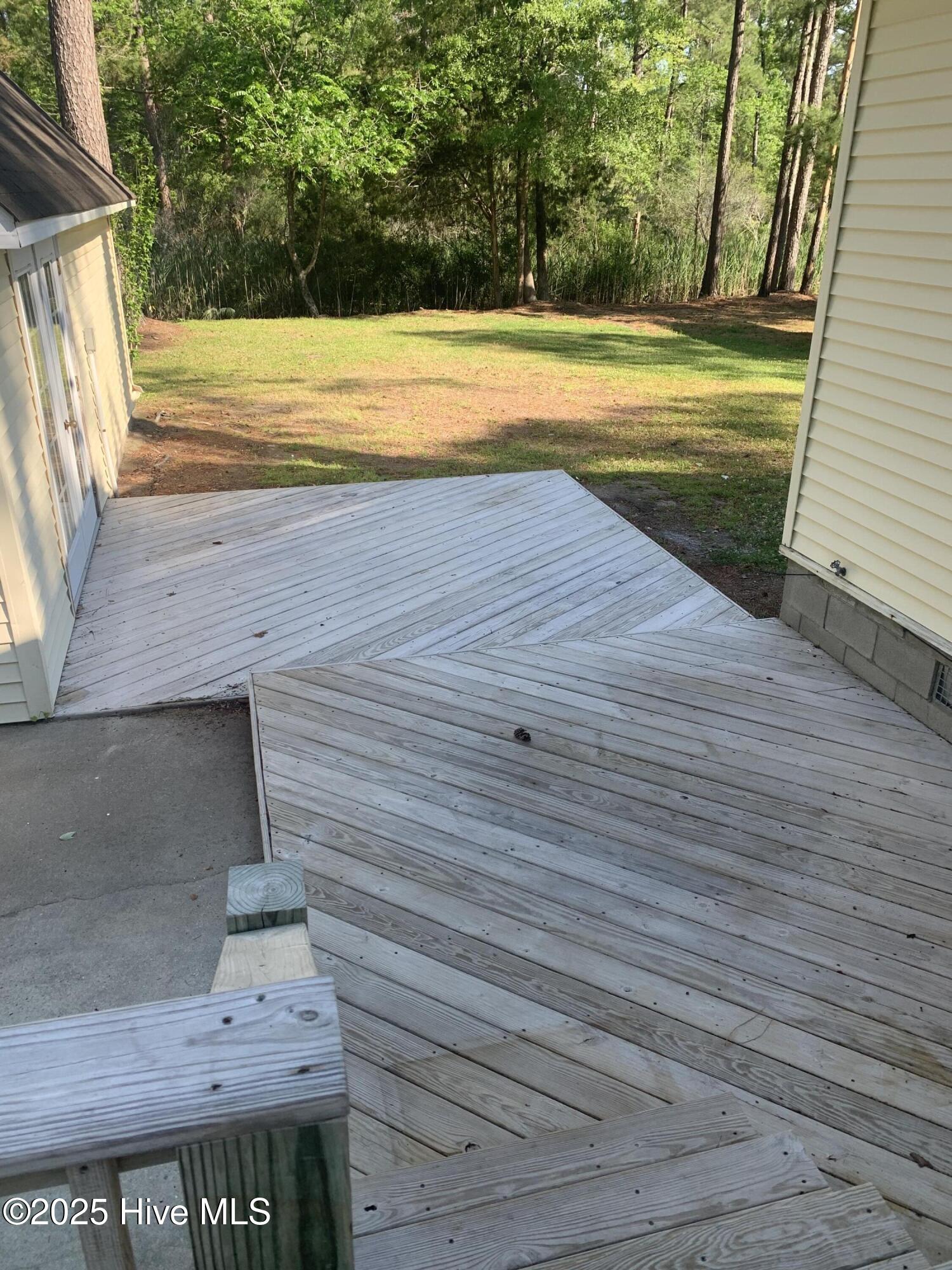 453 Alligator Loop Road Merritt, NC 28556 - Photo 7 of 18 Deck