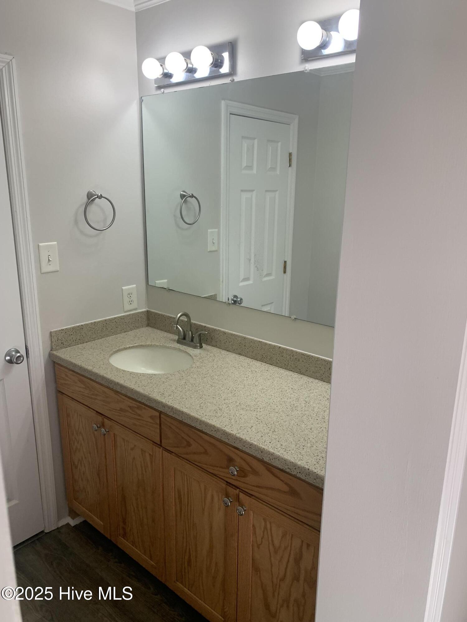 453 Alligator Loop Road Merritt, NC 28556 - Photo 9 of 18 Bath Master Vanity