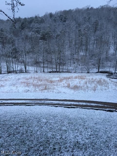 5273 Cairo Road Harrisville, WV 26362 - Photo 32 of 32