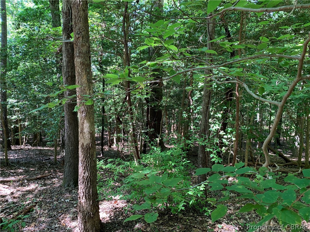Lot 41 Wilton Creek Road Hartfield, VA 23071 - Photo 10 of 12 All Around Lovely Property!