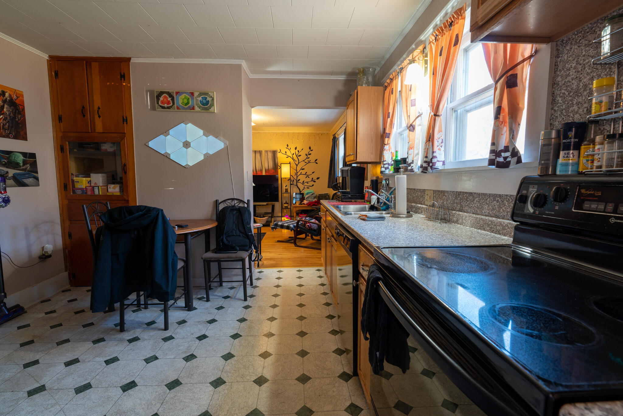 486 Union Street Bangor, ME 04401 - Photo 21 of 35 DSC09936
