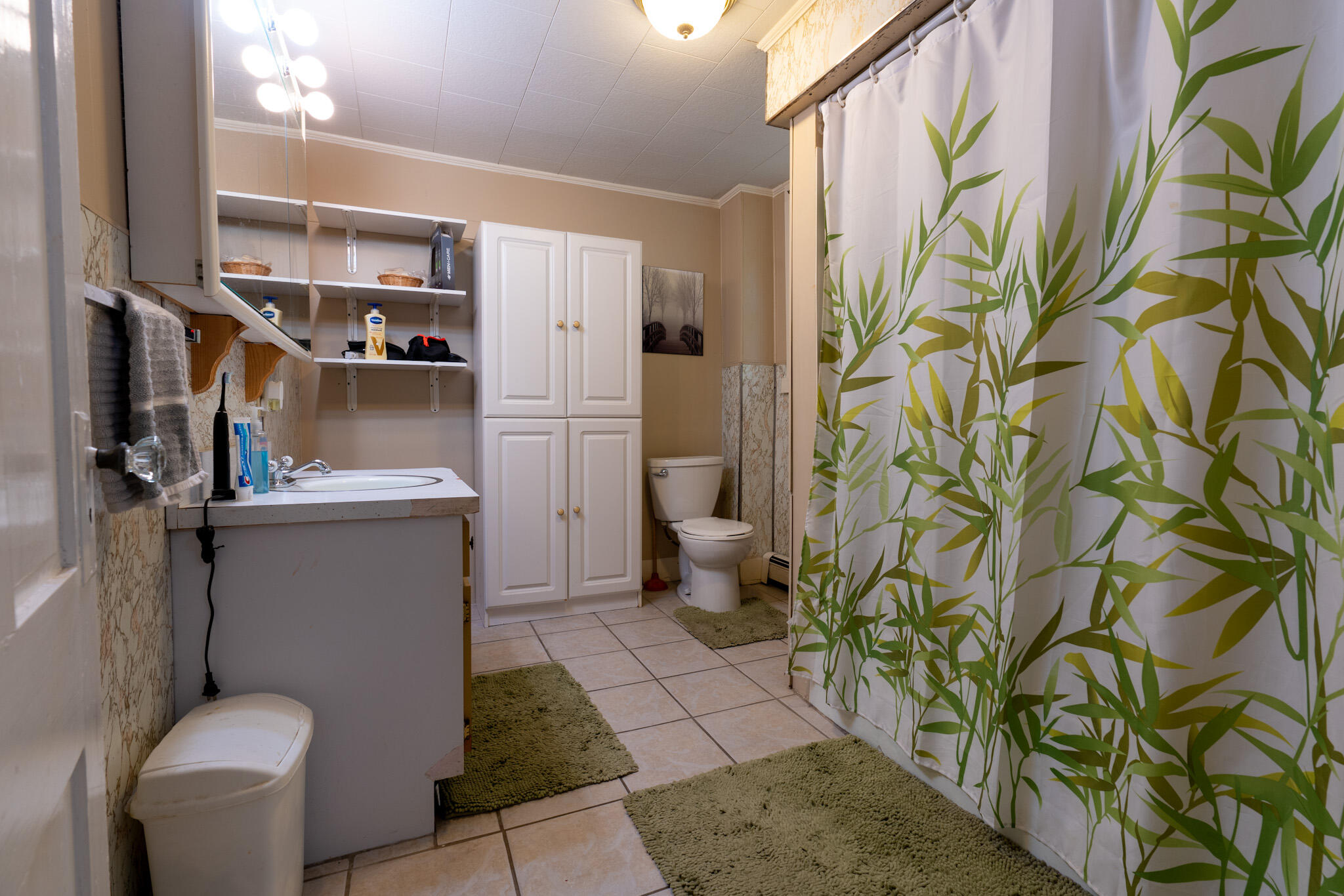 486 Union Street Bangor, ME 04401 - Photo 34 of 35 DSC09955