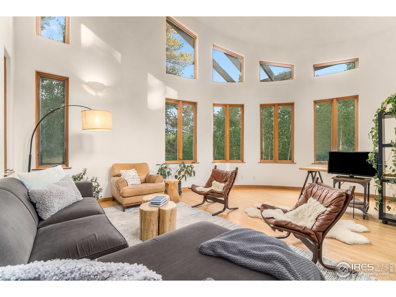 1247 Cold Springs Road Nederland, CO 80466 - Photo 6 of 32 Southern Exposure