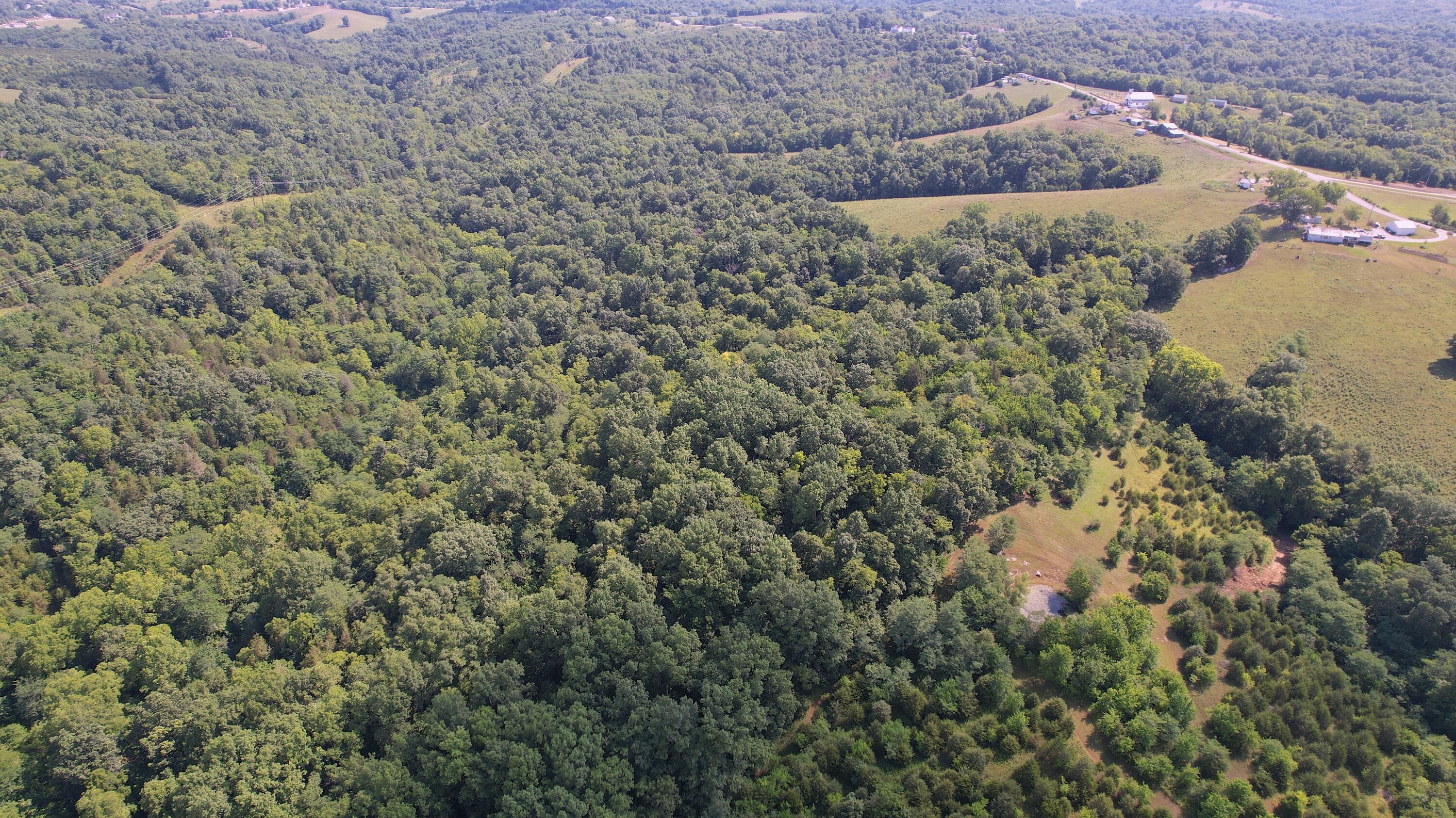 6150 Bridgeville Road Brooksville, KY 41004 - Photo 27 of 37 Gallery Image 27