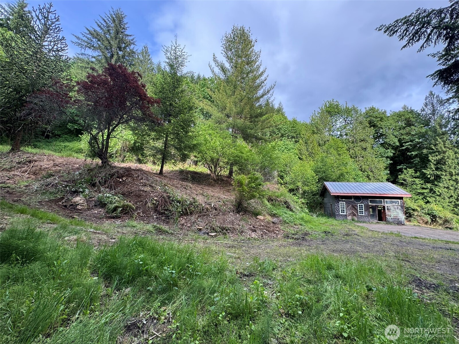 5532 Lewis River Road Ariel, WA 98603 - Photo 3 of 10