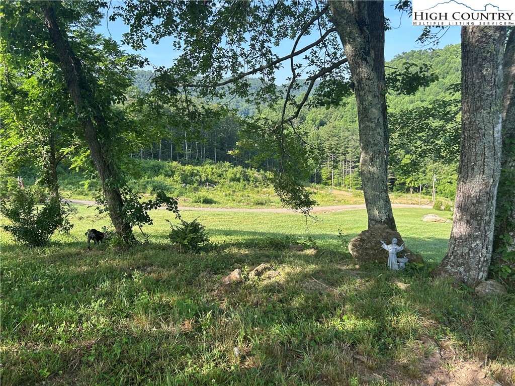 509 Grant Houck Road Todd, NC 28684 - Photo 13 of 50 a big yard with lots of green space and trees